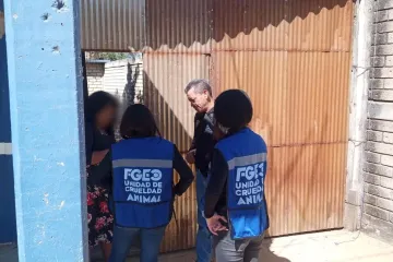 Rescatan a dos perros de maltrato, estaban en una azotea en Pueblo Nuevo