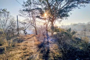 Atienden incendios en Santiago Astata 