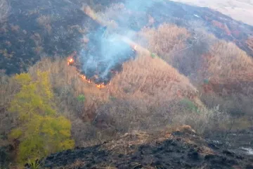 Liquida Coesfo incendio de pastizal en Zimatlán de Álvarez
