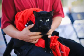 Por la salud de nuestras mascotas, arranca vacunación antirrábica gratuita en Xoxocotlán