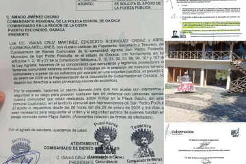 Fake News supuesta intervención de la Policía Estatal en Playa Salchi