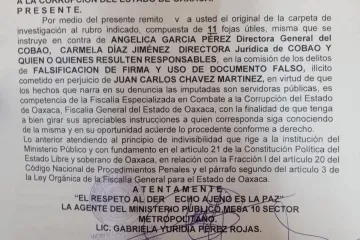 Piden acción penal contra directora general del COBAO 