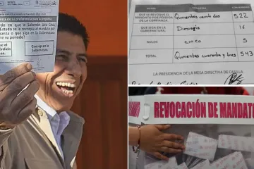 DE PARADOJAS Y UTOPÍAS / Revocación: Un recuento de daños / RAÚL NATHÁN PÉREZ