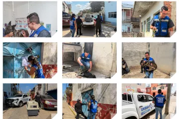 Realizan cateo para rescatar a dos perritos en situación de abandono, los dejaron encerrados en una casa deshabitada