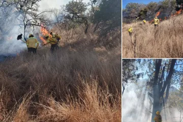 Atiende Coesfo cuatro incendios forestales registrados en diferentes regiones de Oaxaca