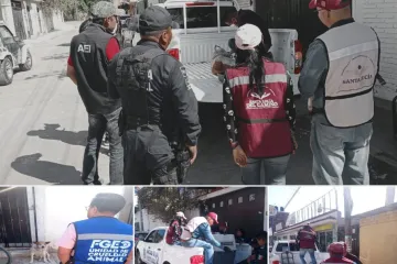 Acción coordinada permite rescate y atención médica de perrito abandonado en Santa Lucía del Camino