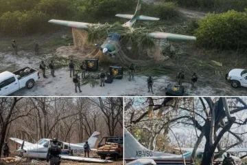 Inteligencia de EU y México logran histórico decomiso cerca de Juchitán: 534 paquetes de droga asegurados