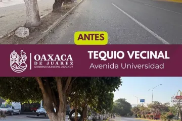 Trabajo que se ve: vecinas y vecinos realizan Tequio Vecinal en Avenida Universidad