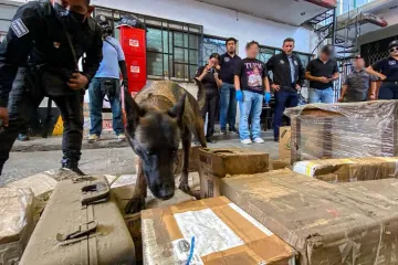 Operativo simultáneo en paqueterías de Oaxaca permite detectar envío de drogas, armas y cartuchos