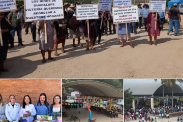 Expolición / No son las mismas llamas / Amado Sanmartín Hernández