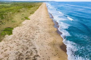 Conanp interpone denuncias federales por saqueo de nidos en el Santuario Playa Escobilla
