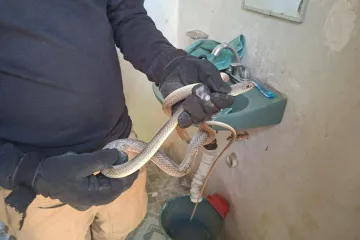 Xoxocotlán: Protección Civil responde con más de 100 servicios durante vacaciones