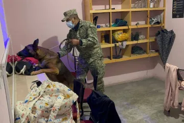 Operativo nocturno en bares de la Mixteca deja dos detenidos y refuerza seguridad