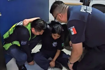 Pabic participa en simulacro de sismo