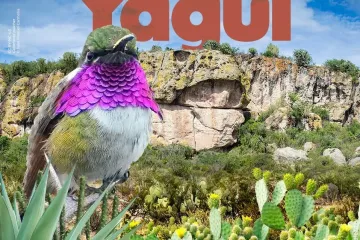 ¡Hoy celebramos el 27º Aniversario del Conanp-Monumento Natural Yagul!