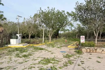 Gobierno de Oaxaca activa protocolo de atención tras tormenta registrada en San Francisco Ixhuatá