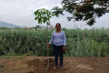 Más de 8 mil árboles fortalecen estrategia ambiental en Santa Lucía del Camino