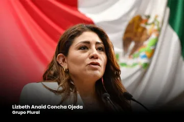 Con iniciativa proponen crear en los Ayuntamientos una Regiduría de Medio Ambiente, Biodiversidad y Sostenibilidad