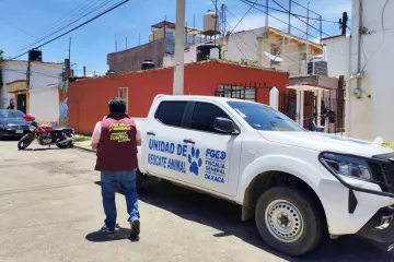 Municipio de Oaxaca de Juárez atiende denuncia por presunto maltrato animal
