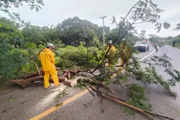  Protección Civil Juchitán responde a reportes ciudadanos y realiza acciones preventivas en diferentes sectores
