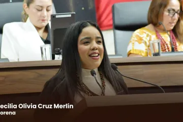 Llaman desde el Poder Legislativo a garantizar el derecho a la comunicación a través de la LSM