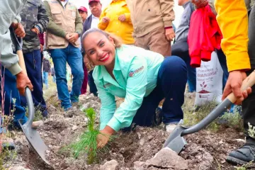 Llevan Mega Tequio de Reforestación en Villa Tejupan de la Unión