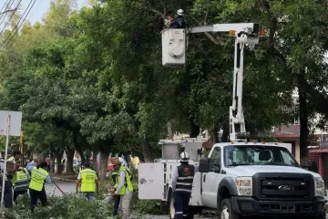 Mejor alumbrado y poda de árboles en calz. Tecnológico