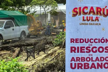 Gobierno de Oaxaca de Juarez prioriza el cuidado del arbolado del Paseo Juárez El Llano