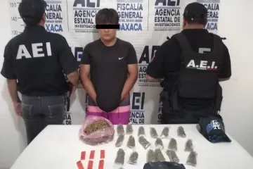 Cateo interinstitucional en Huatulco permite asegurar drogas y detener a una persona: FGEO