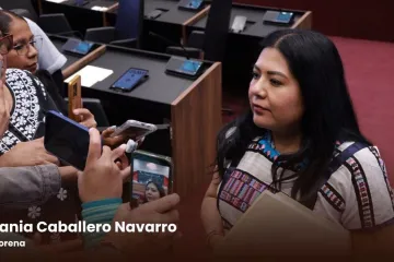 “Las diputadas somos aliadas de las mujeres que quieren participar en la vida pública”: Tania Caballero
