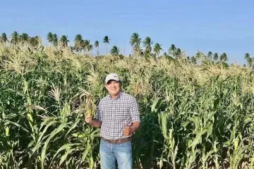 Fortalece Oaxaca su producción de maíz y avanza hacia la autosuficiencia alimentaria: Nino Morales