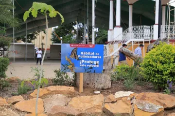 Instalan jardines polinizadores en Santa Cruz Xoxocotlán