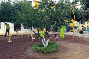 Tequio Vecinal mejora espacios públicos en la colonia Postal