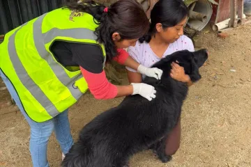 Gobierno de Oaxaca de Juárez atiende dos casos de gusano barrenador en perros