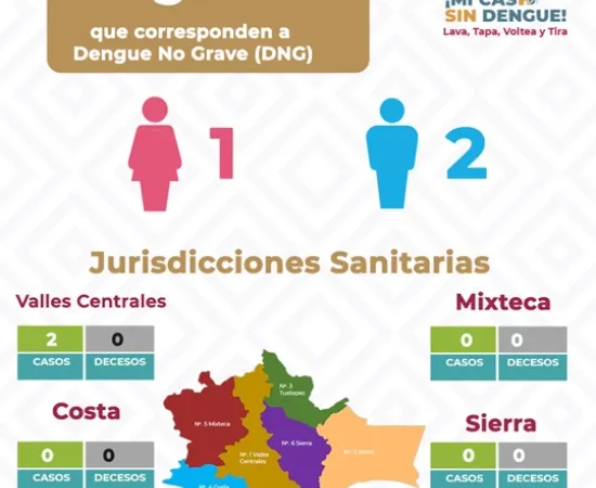 Inicia SSO en Matías Romero Jornada de Eliminación de Criaderos del Dengue
