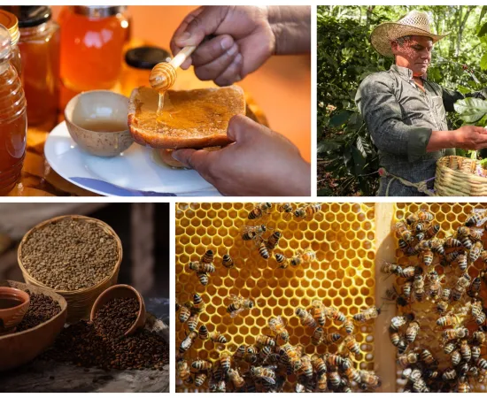 Celebrará San Sebastián Coatlán su segunda Feria del Café Artesanal y la Miel
