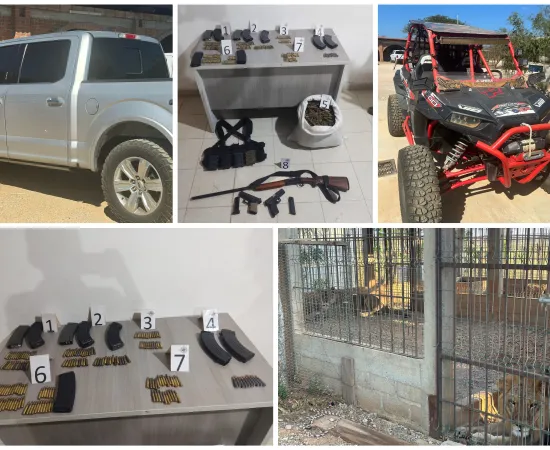 Catean rancho en el Istmo y aseguran animales exóticos, armas y drogas