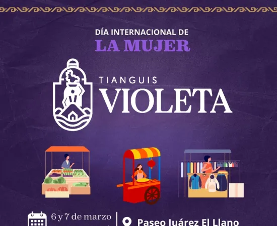 Con Tianguis Violeta se impulsará autonomía económica de vecinas de Oaxaca de Juárez
