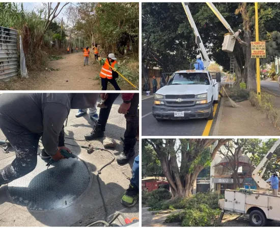 Podan y limpian para mantener en buen estado los espacios públicos de Oaxaca de Juárez