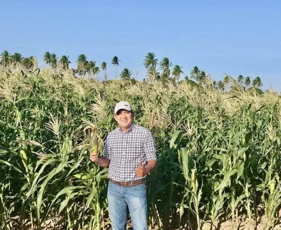 Oaxaca listo para producir maíz blanco que ya no se cosecha en el norte: Nino Morales 