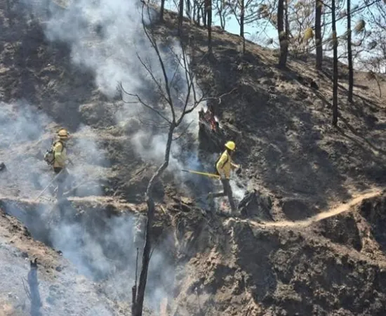Reporta Coesfo control de incendio forestal en Santiago Minas y Santa Catarina Juquila