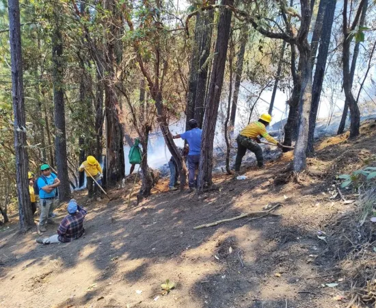 Reporta Coesfo control total de incendio forestal en la zona de Ozolotepec