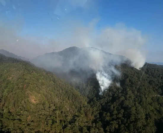 Atiende Coesfo incendios en la Cuenca del Papaloapan y Costa