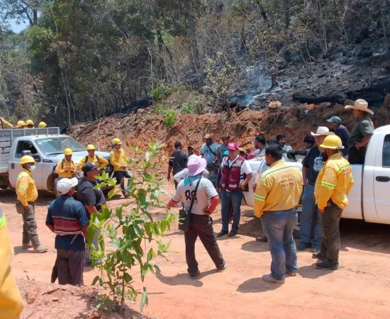 Atiende Coesfo incendio forestal en Putla Villa de Guerrero