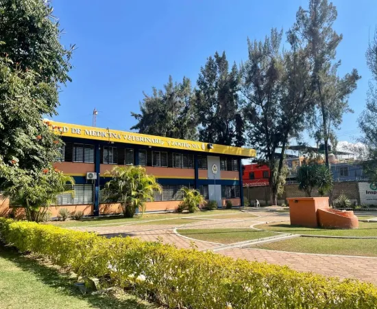 26 mil estudiantes de la UABJO inician vacaciones de Semana Santa