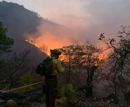 Atiende Coesfo incendio forestal en límites de Santiago Minas y Santa Catarina Juquila