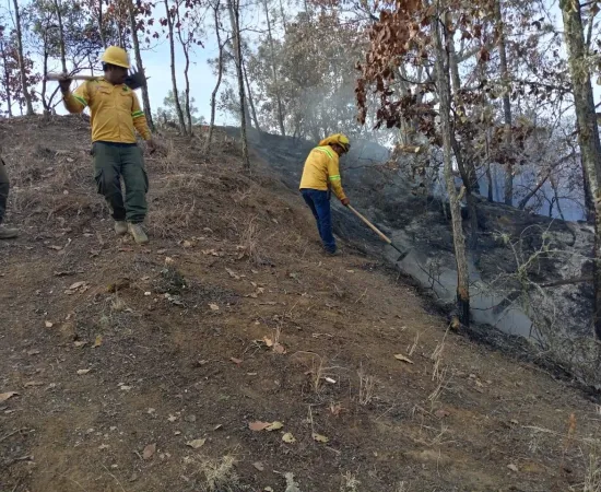 Reporta Coesfo control de incendio forestal en San Juan Tamazola