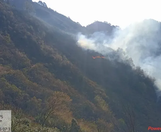 Reporta Coesfo 50% de control del incendio forestal en San Sebastián Coatlán