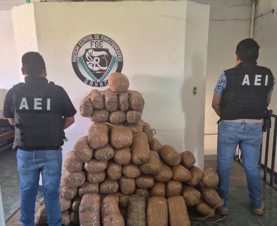 Fiscalía de Oaxaca asegura cargamento con 110 kg de mariguana