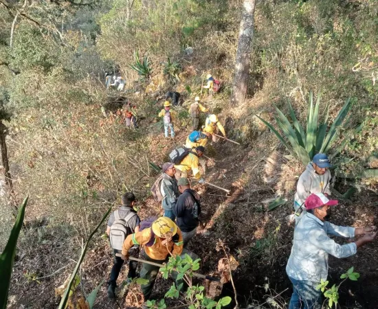 Controlado incendio forestal en San Esteban Atatlahuca